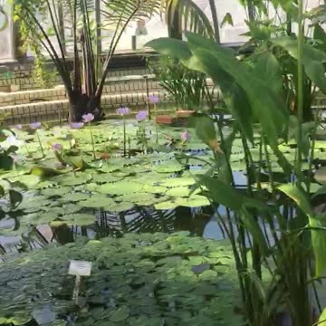 Botanische Garten Germany