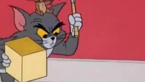 Tom and Jerry today apisode trick or trap