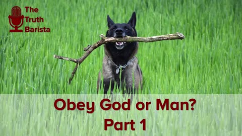 Obey God or Man? Part 1