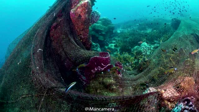 Thai coral reef covered by massive fishing net