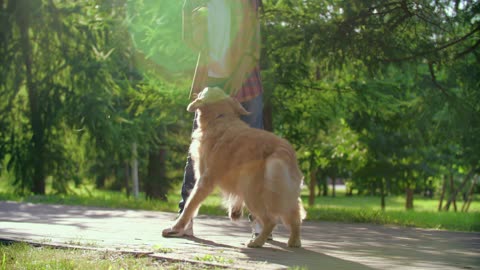 boy playing with dog