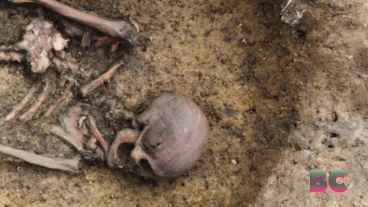 50 “exceptionally well-preserved” Viking skeletons unearthed in Denmark