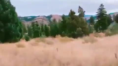 20180928文贵先生视频：文贵坐车下山准备回纽约！
