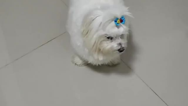 today our night promises love