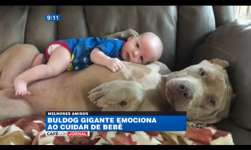 Dog takes care of a child as if he were a child