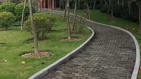 Stroll along the tree-lined path that ends with a gazebo