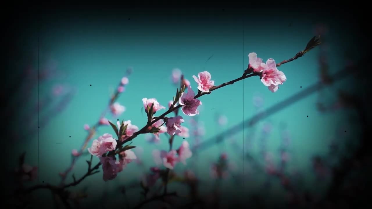 Escape Stress with Soothing Chinese Pops Instrumental _ 1 Hour