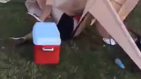 Man in red jumps on pink canopy