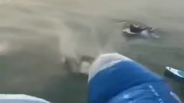 Funny jokes video