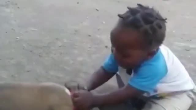 Baby girl and small dog comedy