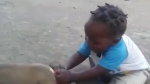 Baby girl and small dog comedy