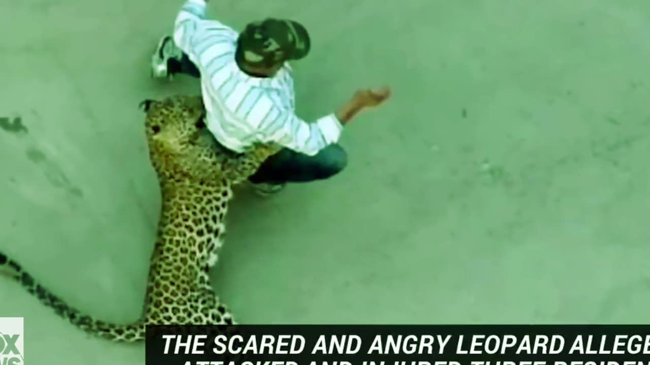 Leopard attacks residents in Indian city