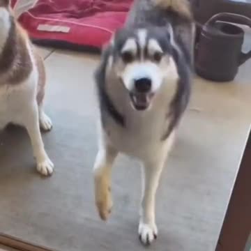 tippy tappy tippy tappy tippy tappy