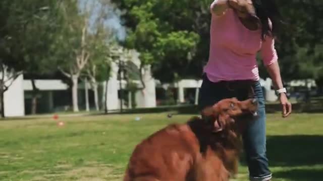 Girl playing with a Dog cute