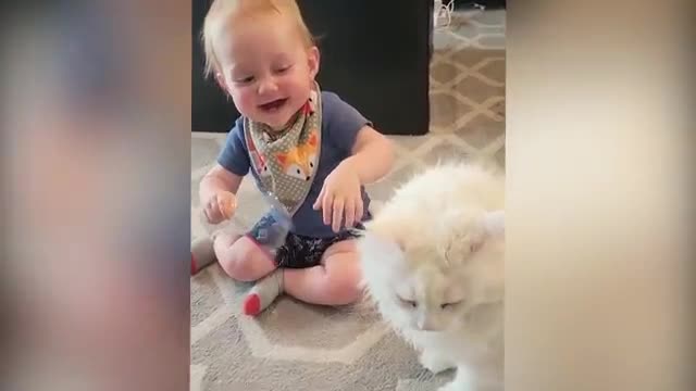 Cute baby play with Cat Compilation