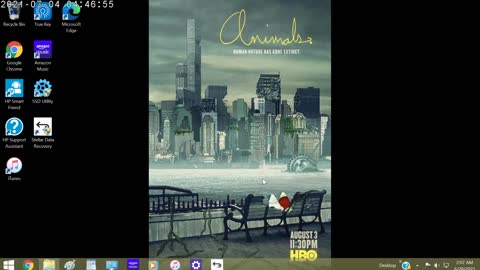 Animals Review