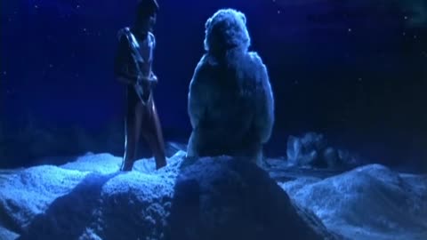 POLAR BEAR4