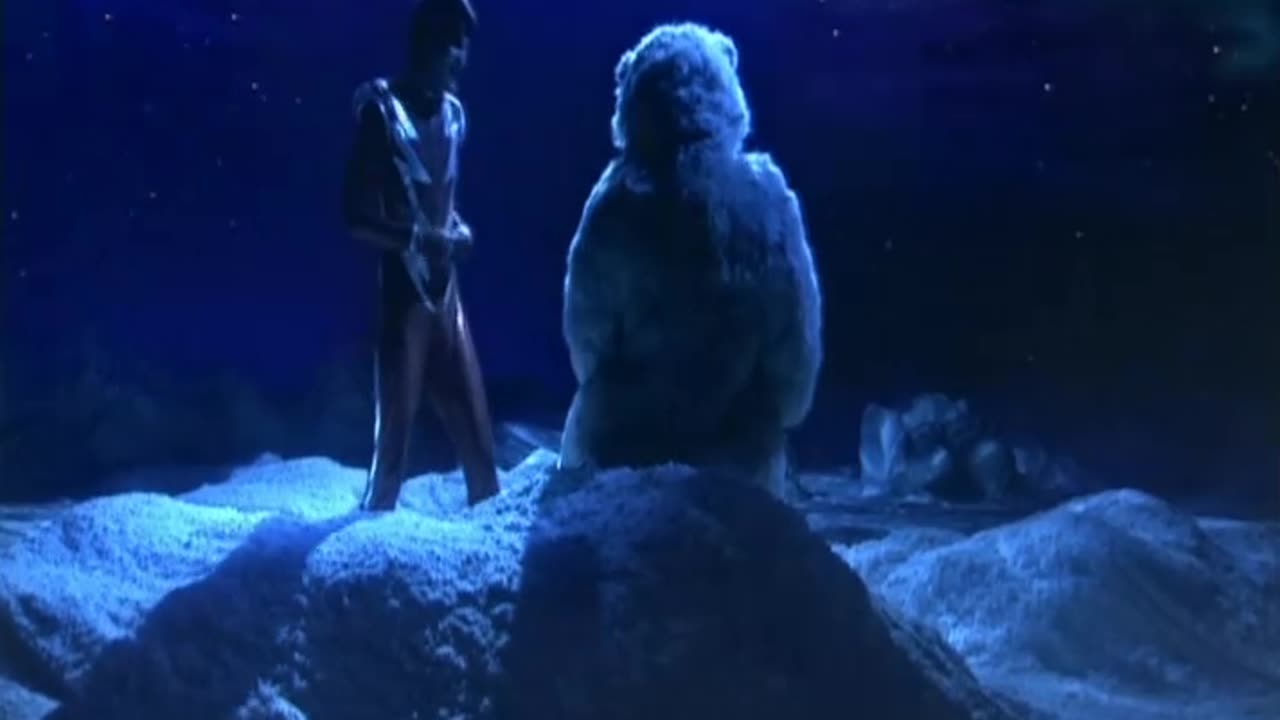 POLAR BEAR4