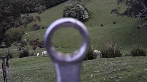 Mustering Sheep with a Spanner
