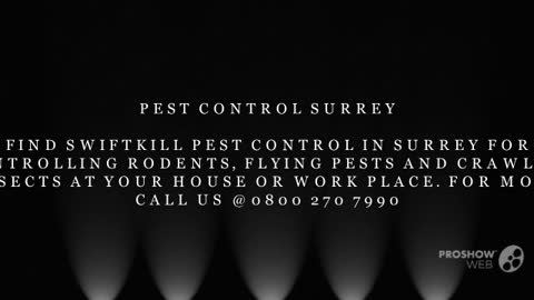 Pest Control Surrey