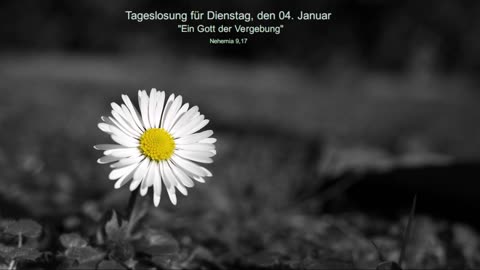 Tageslosung für Dienstag, den 04. Januar