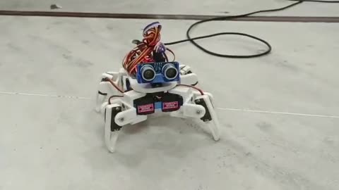 Spiderbot