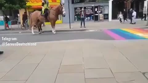 Pferde scheuen vor Regenbogenfarben