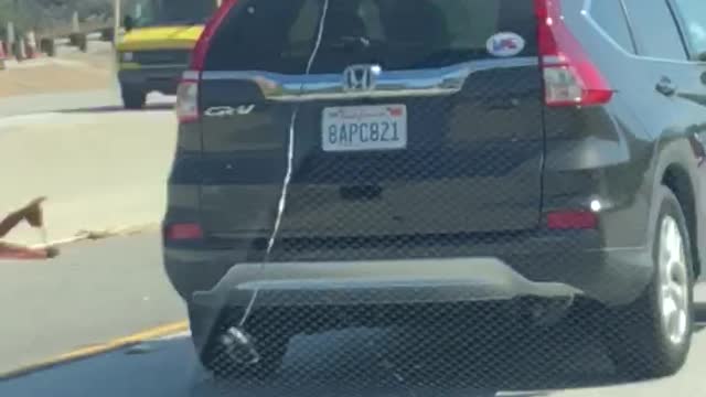 Honda crv with surfboard string hanging from back of car