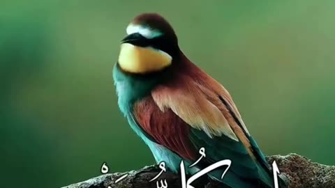 بلغوا عني ولو آية