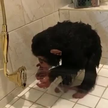 Bath time or playing time? You suppose to take a shower baby