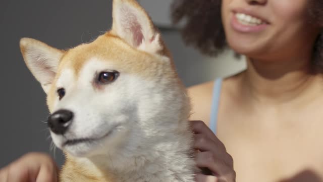 Can you tell me the dog's name thank you