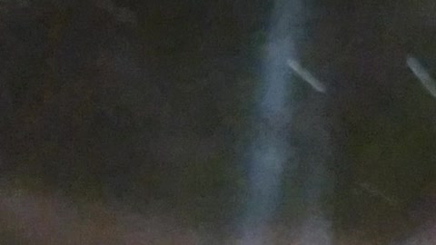 Spider web 🕸️🕷️🕸️🕷️🕸️ 🕷️