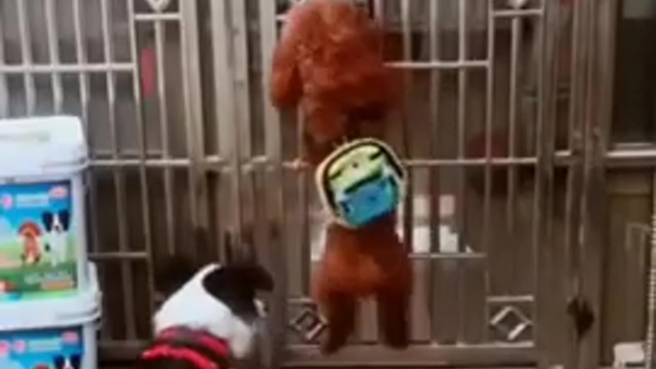 🤣🤣🤣😂😂😂