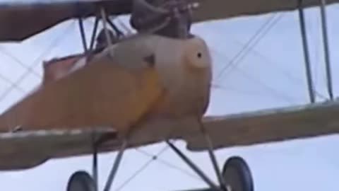 World War I recon planes flies for the last time