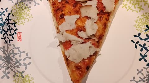 Eating Oscar Meyer Turkey Breast On Top Of A Pizza, Dbn, MI, 8/18/23