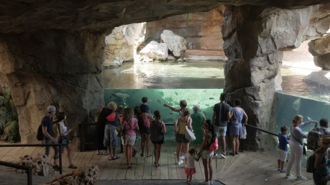 People Watching Tropical Fishes In Bioparc Of Valencia