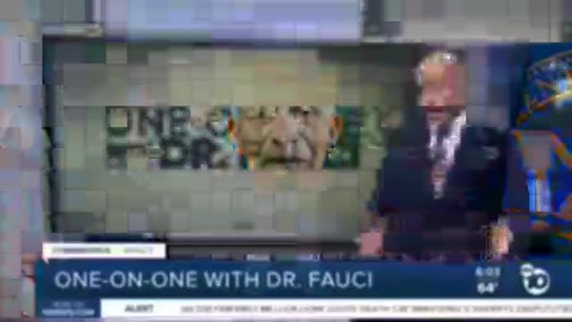 닥터 에이즈는 새로운 변종이 나올 때 마침 몸을 숨겼는데