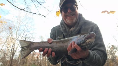 Beautiful Steelhead on Rocky River