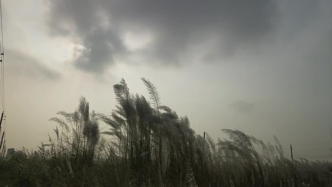 Beautiful natural scenery under a dark sky