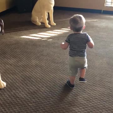 Toddler Accidentally Beheads New Friend