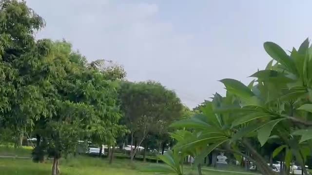 Looking at the sky