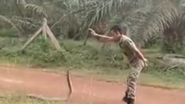 The brave way to catch a snake