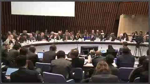 What is the WHO - Questions For Corbett
