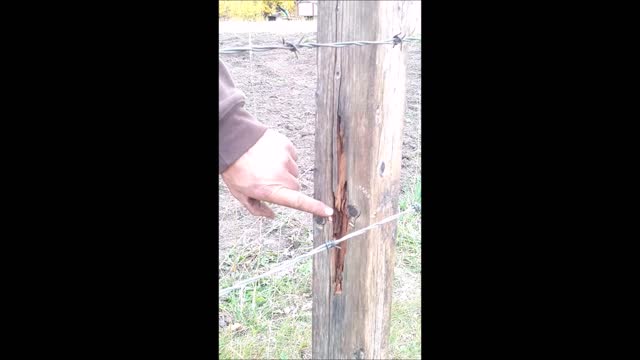 Farmer Test Drove - Rotten Wood Post