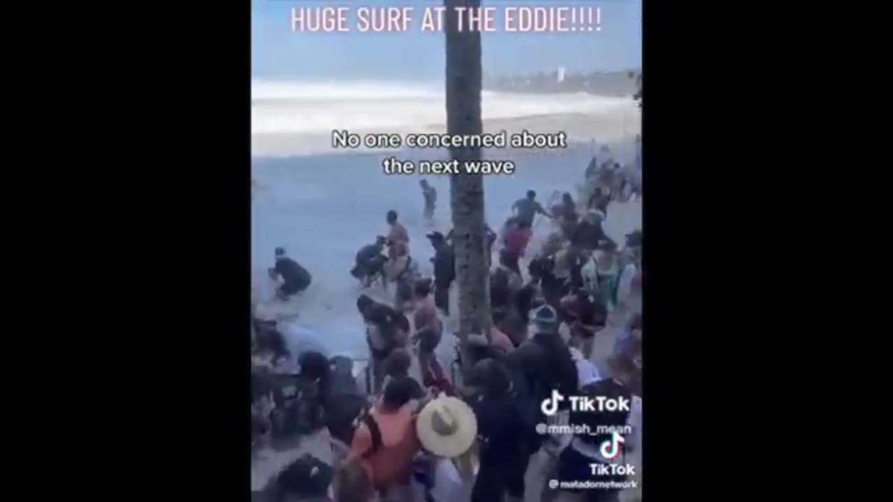 Surfs Up for the Darwin Awards