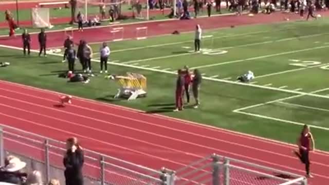The puppy beat all the players to become the winner.