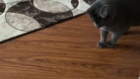 Love my kids! They make my heart sing ❤️🎶