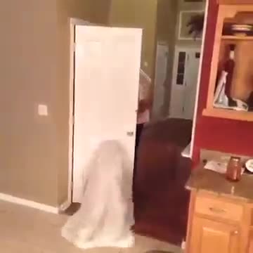 Real ghost caught on ....FAIL!!