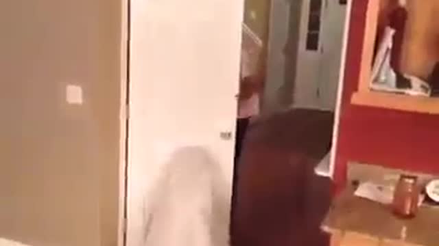 Real ghost caught on ....FAIL!!