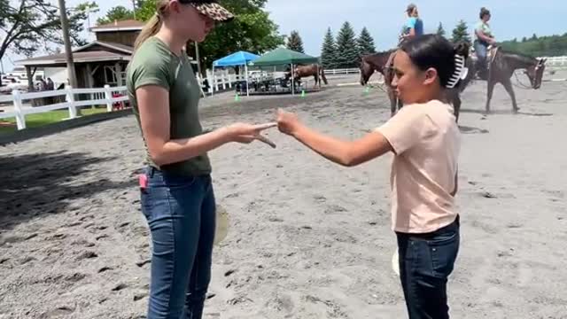 Tortilla slaps gone wrong… horse show edition 🤣🙀